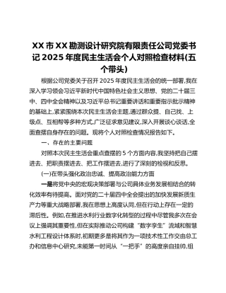 XX市XX勘测设计研究院有限责任公司党委书记2025年度民主生活会个人对照检查材料(五个带头)