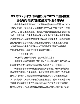 XX市XX开发投资有限公司2025年度民主生活会领导班子对照检查材料(五个带头)