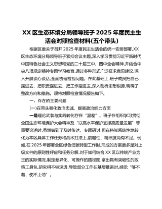 XX区生态环境分局领导班子2025年度民主生活会对照检查材料（五个带头）