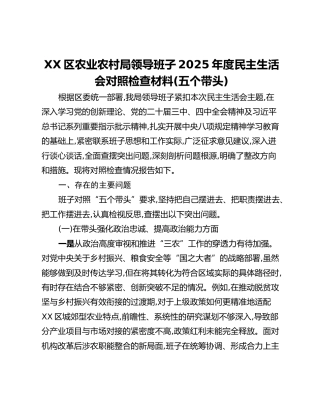 XX区农业农村局领导班子2025年度民主生活会对照检查材料（五个带头）