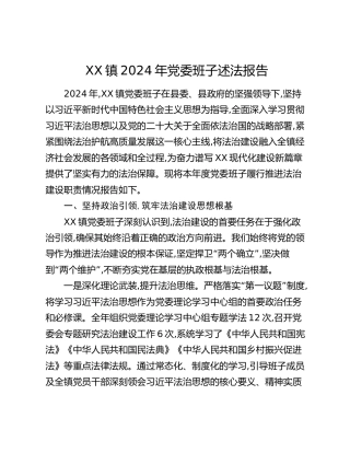 XX镇2024年党委班子述法报告