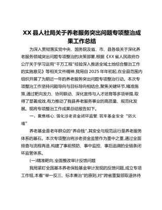 XX县人社局关于养老服务突出问题专项整治成果工作总结