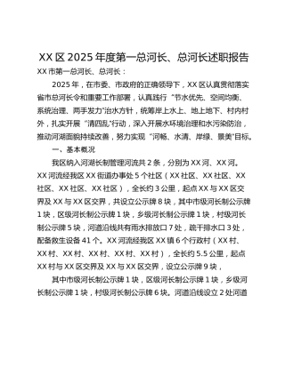 XX区2025年度第一总河长、总河长述职报告