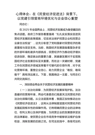 心得发言：在《民营经济促进法》背景下，以党建引领营商环境优化与企业信心重塑