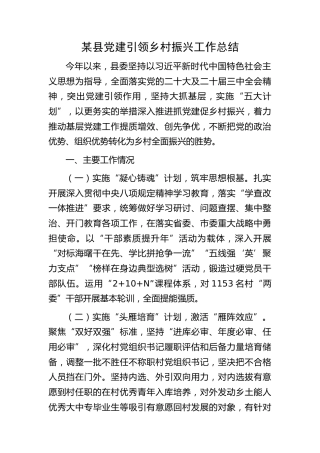 某县党建引领乡村振兴工作总结报告2