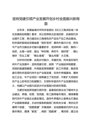 坚持党建引领产业发展 开创乡村全面振兴新局面