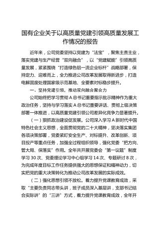 国企公司关于以高质量党建引领高质量发展工作情况的报告