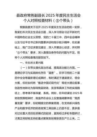 县政府常务副县长2025年度民主生活会个人对照检查材料