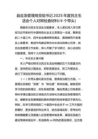 县应急管理局党组书记2025年度民主生活会个人对照检查材料
