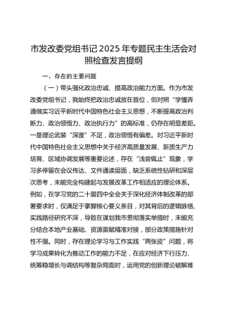 市发改委党组书记2025年专题民主生活会对照检查发言提纲