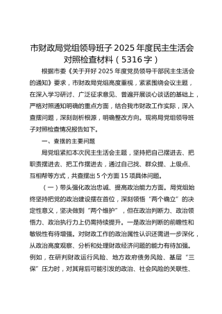 市财政局党组领导班子2025年度民主生活会对照检查材料（5316字）
