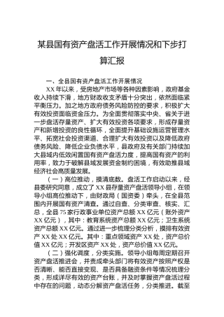 某县国有资产盘活工作开展情况和下步打算汇报