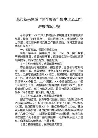 某市新兴领域“两个覆盖”集中攻坚工作进展情况汇报