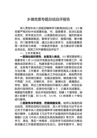 乡镇党委专题总结自评报告