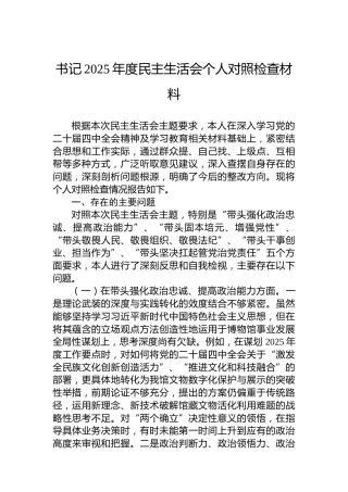 书记2025年度民主生活会个人对照检查材料