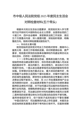 市中级人民法院党组2025年度民主生活会对照检查材料(五个带头)