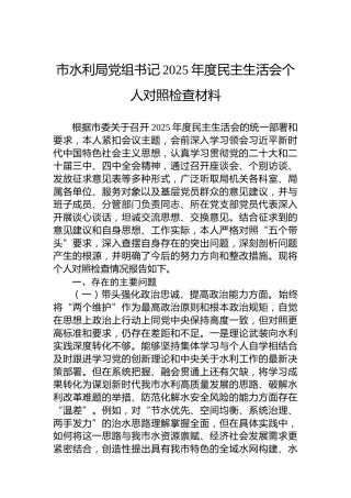 市水利局党组书记2025年度民主生活会个人对照检查材料