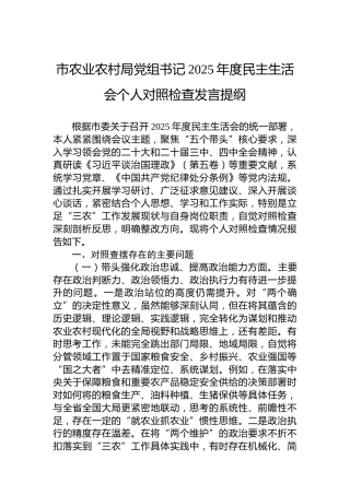 市农业农村局党组书记2025年度民主生活会个人对照检查发言提纲