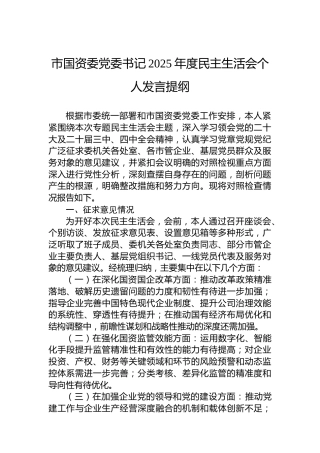 市国资委党委书记2025年度民主生活会个人发言提纲