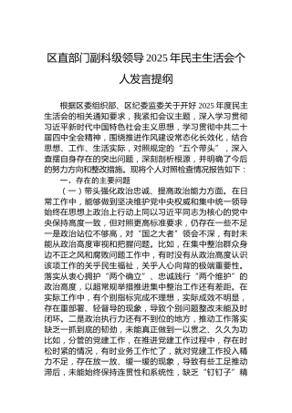 区直部门副科级领导2025年民主生活会个人发言提纲