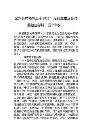 区水务局领导班子2025年度民主生活会对照检查材料（五个带头）