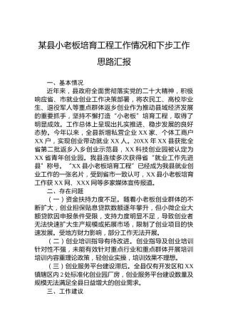 某县小老板培育工程工作情况和下步工作思路汇报