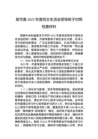 某市委2025年度民主生活会领导班子对照检查材料