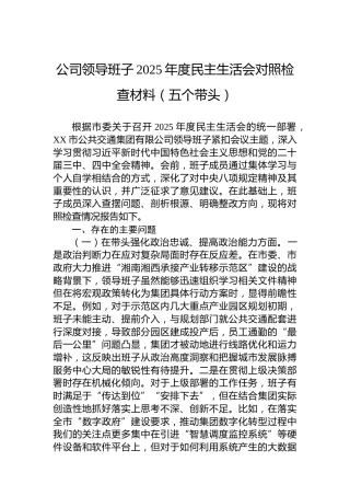 公司领导班子2025年度民主生活会对照检查材料（五个带头）