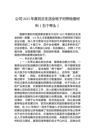 公司2025年度民主生活会班子对照检查材料（五个带头）