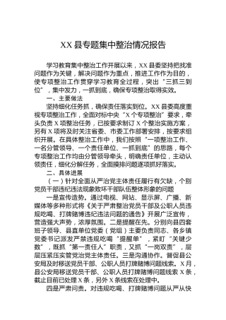 XX县专题集中整治情况报告