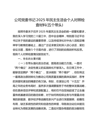 公司党委书记2025年民主生活会个人对照检查材料(五个带头)（2）