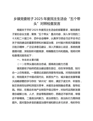 乡镇党委班子2025年度民主生活会“五个带头”对照检查发言 (2)