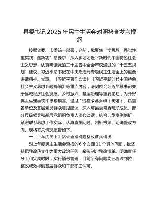 县委书记2025年民主生活会对照检查发言提纲（上年度查摆问题整改落实情况+五个带头）