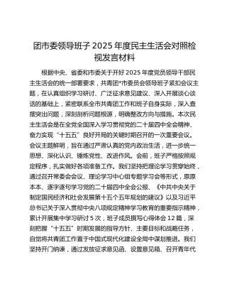 团市委领导班子2025年度民主生活会对照检视发言材料（贯彻落实八项规定精神情况总结+五个带头+典型案例剖析）