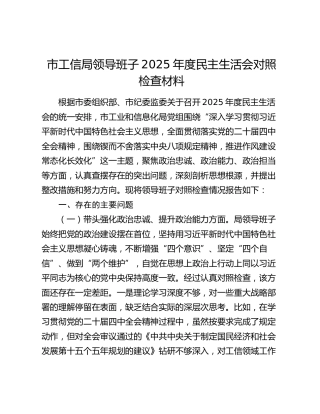 市工信局领导班子2025年度民主生活会对照检查材料（五个带头）
