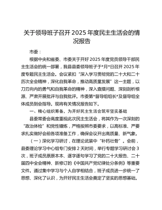 关于领导班子召开2025年度民主生活会的情况报告