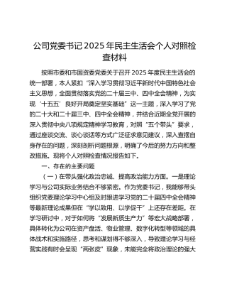 公司党委书记2025年民主生活会个人对照检查材料（五个带头）
