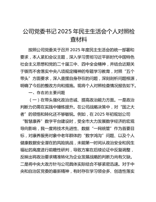 公司党委书记2025年民主生活会个人对照检查材料（五个带头） (2)