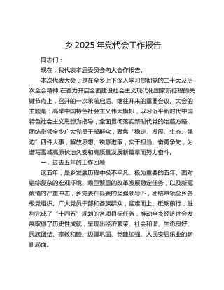 乡2025年党代会工作报告