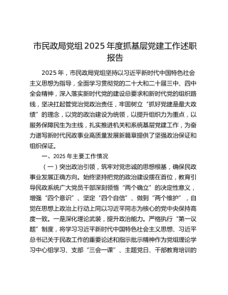 市民政局党组2025年度抓基层党建工作述职报告