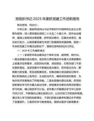 党组织书记2025年度抓党建工作述职报告
