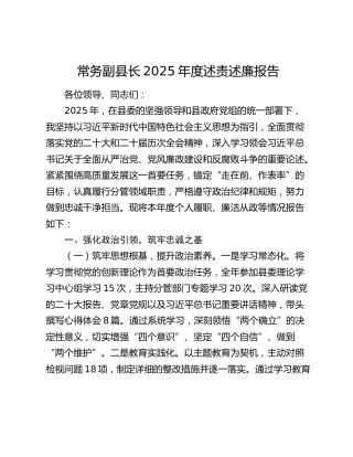 常务副县长2025年度述责述廉报告
