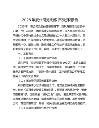 2025年度公司党支部书记述职报告