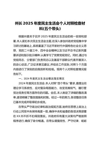 州长2025年度民主生活会个人对照检查材料（五个带头）