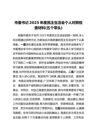 市委书记2025年度民主生活会个人对照检查材料(五个带头)