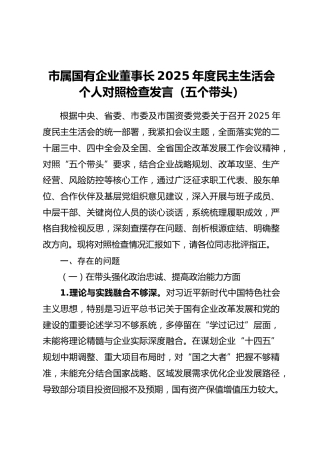 市属国有企业董事长2025年度民主生活会个人对照检查发言（五个带头）