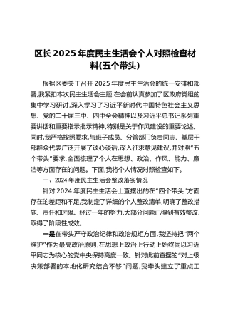 区长2025年度民主生活会个人对照检查材料(五个带头)