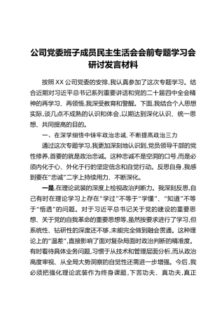 公司党委班子成员民主生活会会前专题学习会研讨发言材料