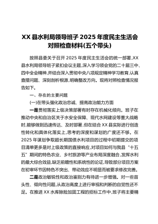 XX县水利局领导班子2025年度民主生活会对照检查材料（五个带头）