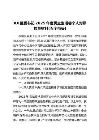 XX区委书记2025年度民主生活会个人对照检查材料（五个带头）